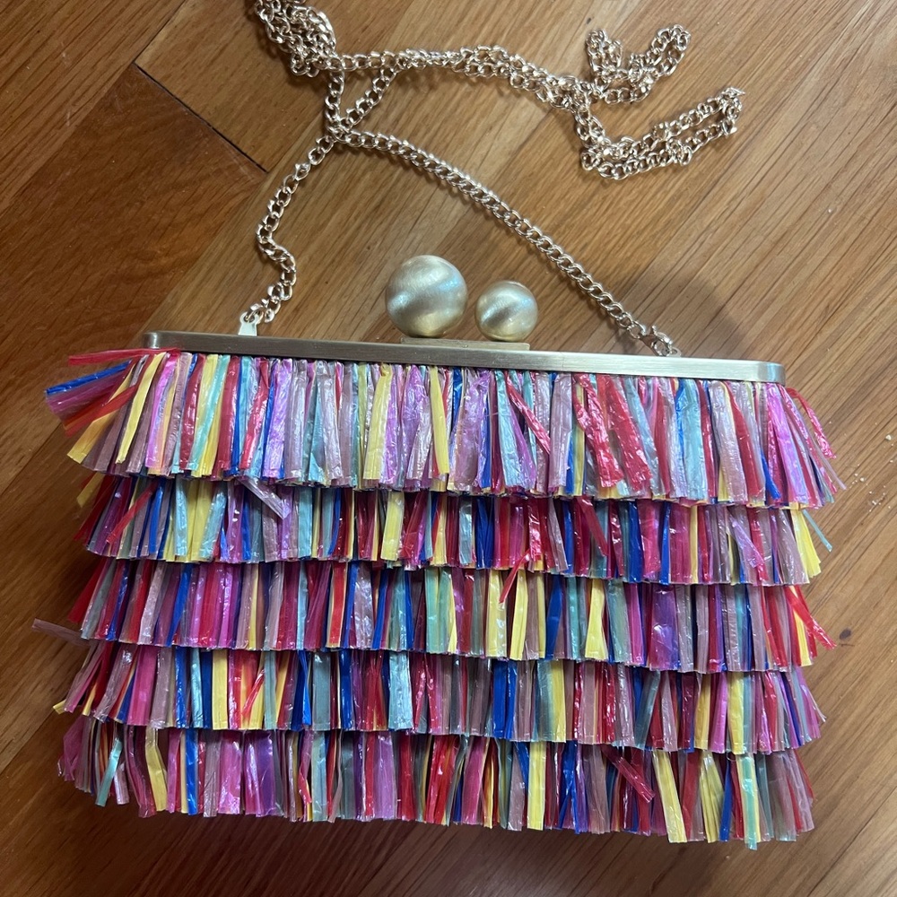Olga Beeg Colorful Fringe Clutch Bag